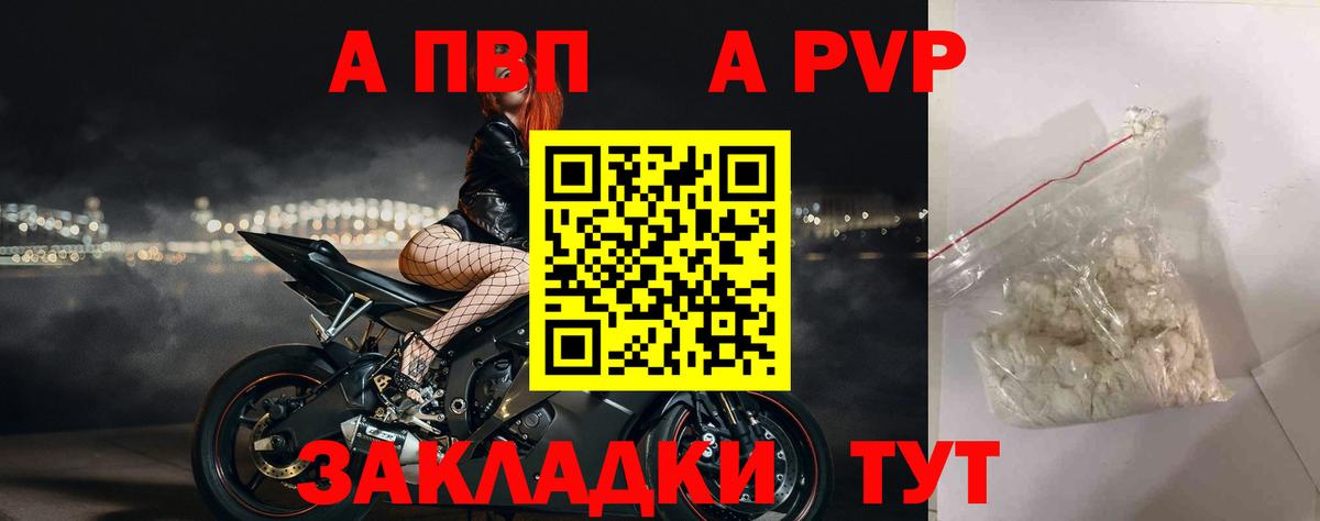 Alfa_PVP СК Тара