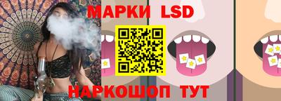 сатива Нальчик