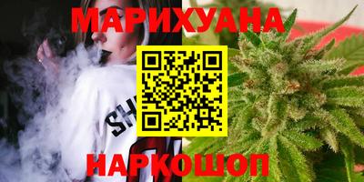 сатива Нальчик