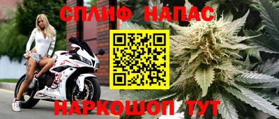 сатива Нальчик