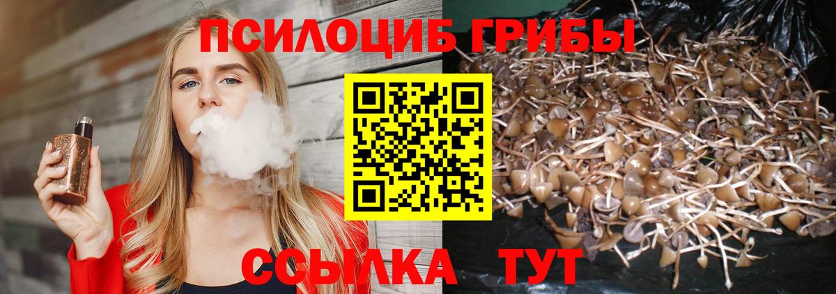 Псилоцибиновые грибы GOLDEN TEACHER  Вход с VPN  Тара 