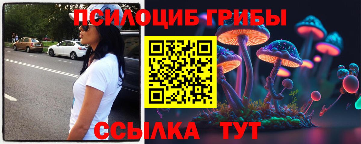 Псилоцибиновые грибы Psilocybe Тара